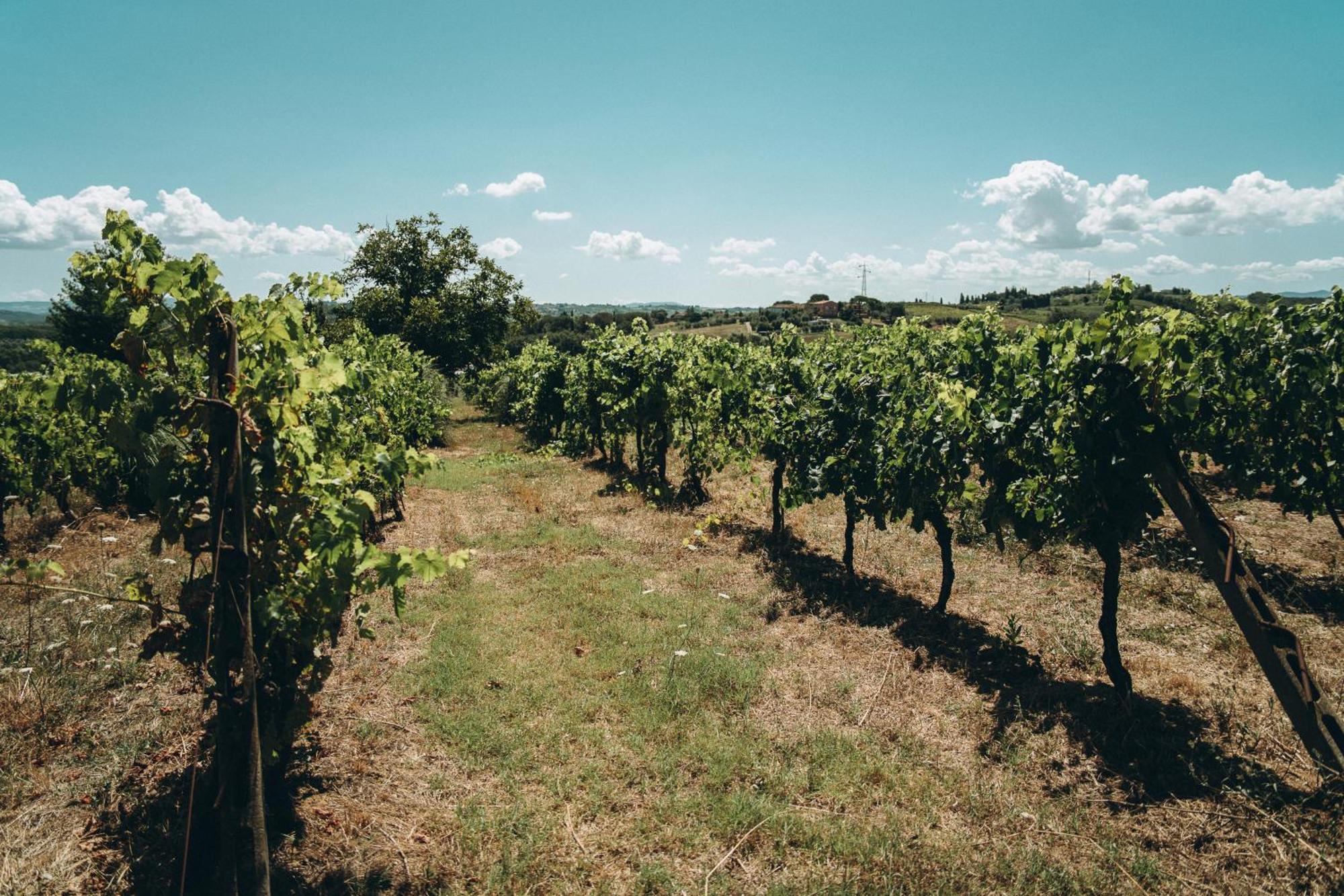 Agriturismo Terra Di Dio Toscanizzazione Villa Capannoli Bagian luar foto